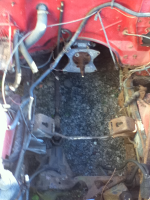 image-2245268534.png