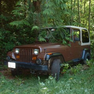 89 YJ Sahara Edition