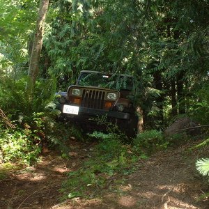 89 YJ Sahara Edition