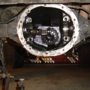 the dana 35