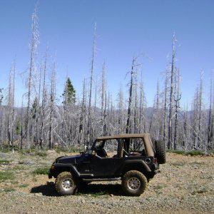 97 TJ Sport Wrangler