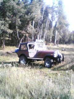 Just another Trail Ride in Zuni Mtns