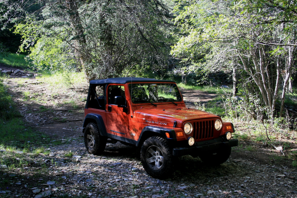 New Mexico Trails