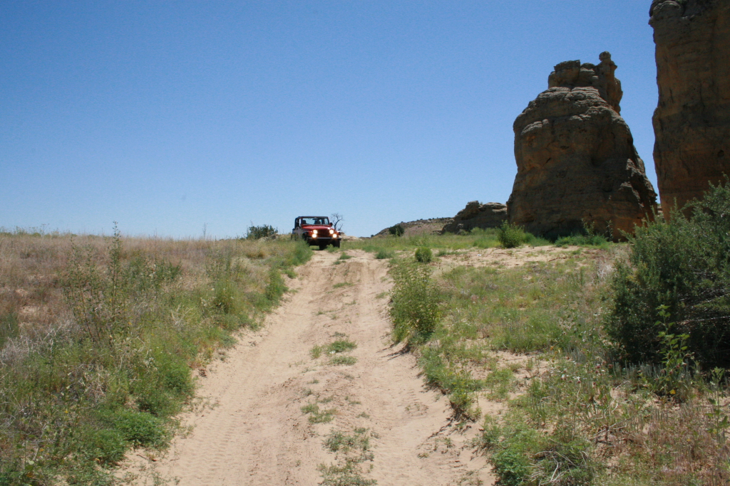 New Mexico Trails