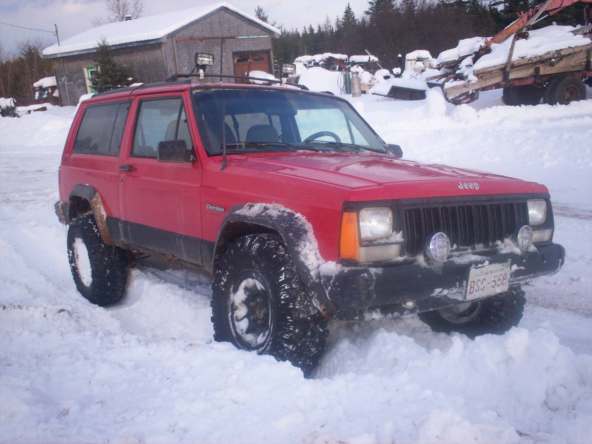 Playing In The Snow